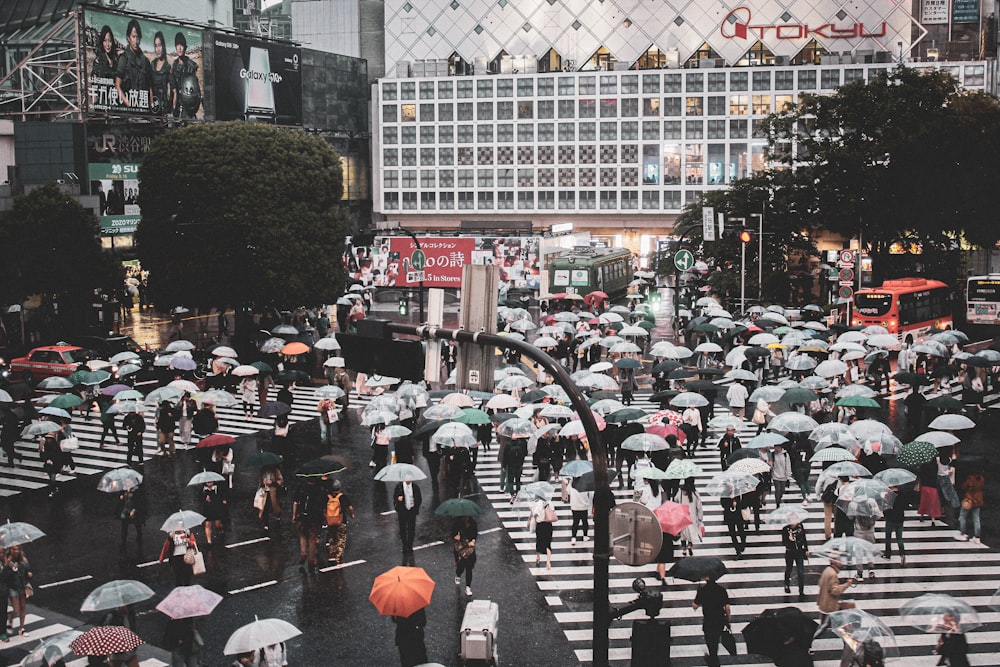 people walking on street during daytime