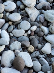 A collection of variously sized and textured stones, predominantly smooth and rounded, with a few porous ones mixed in. The stones appear to be natural river rocks, featuring a range of gray, brown, and black tones.