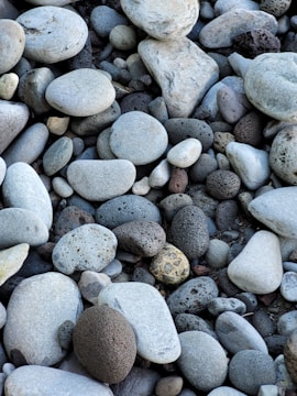 A collection of variously sized and textured stones, predominantly smooth and rounded, with a few porous ones mixed in. The stones appear to be natural river rocks, featuring a range of gray, brown, and black tones.
