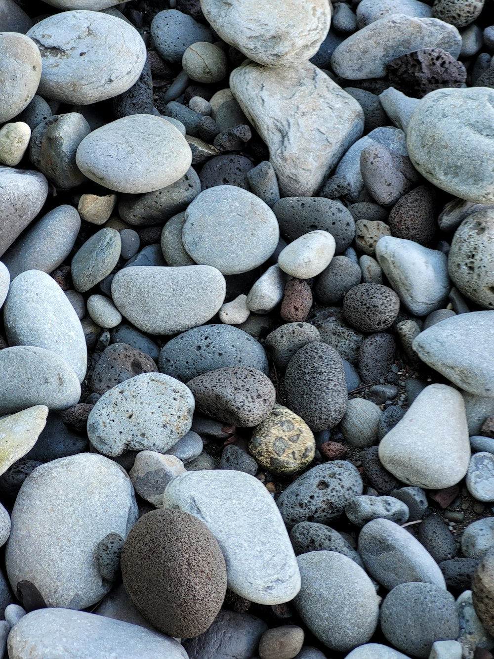 gray and white pebbles on the ground