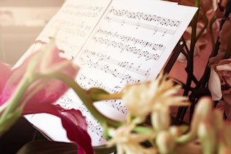 pink rose beside musical notes