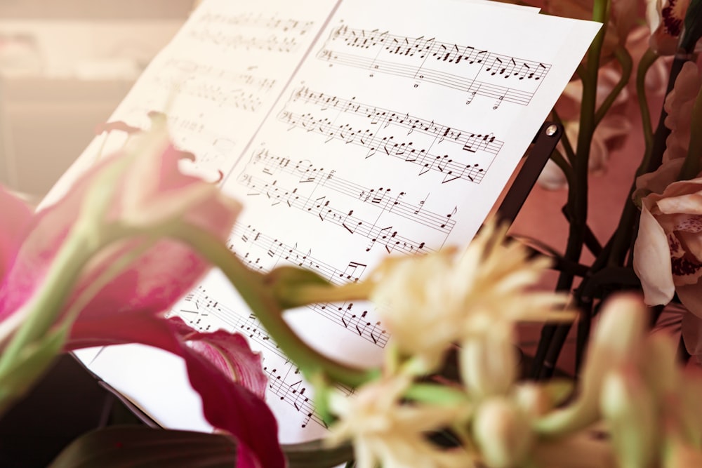 pink rose beside musical notes