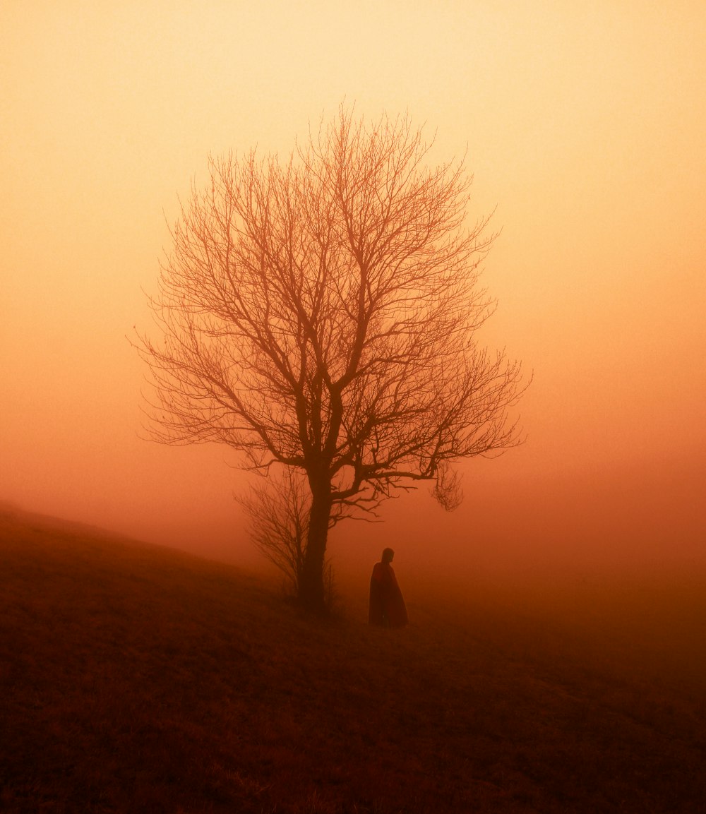 Silhouette einer Person, die während des Sonnenuntergangs in der Nähe eines kahlen Baumes steht