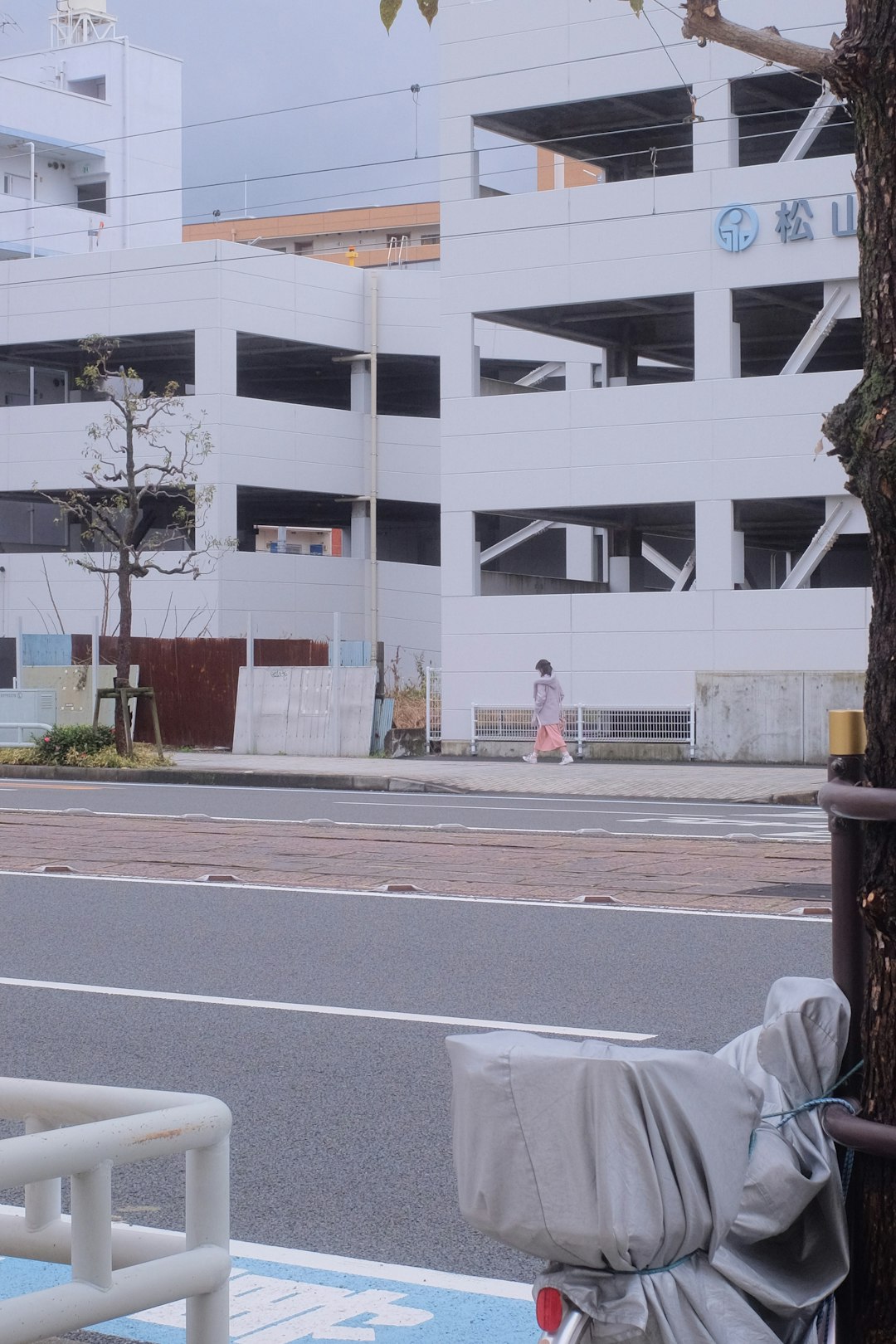 white and brown concrete building near bare tree during daytime