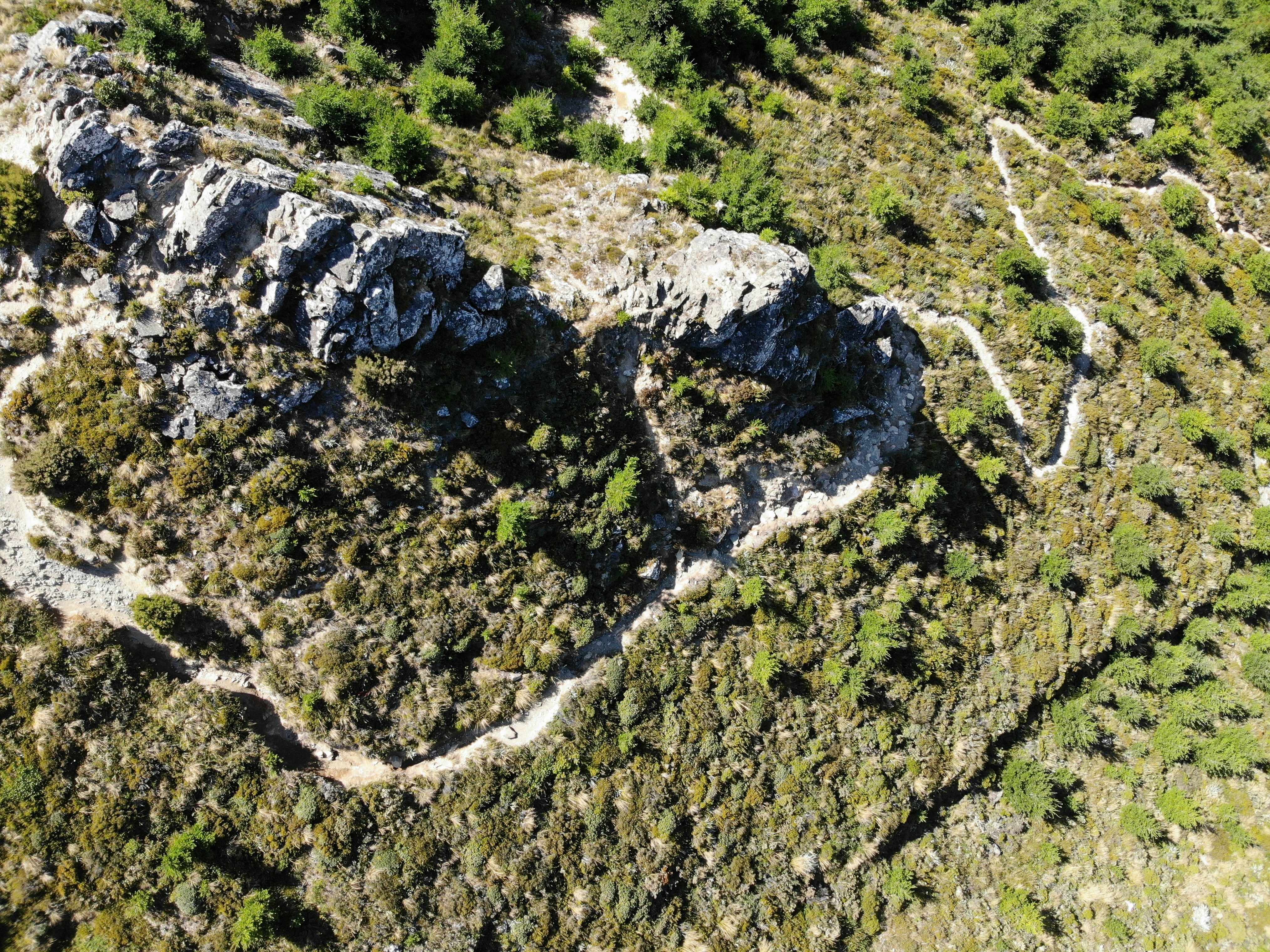 green grass and trees on rocky mountain