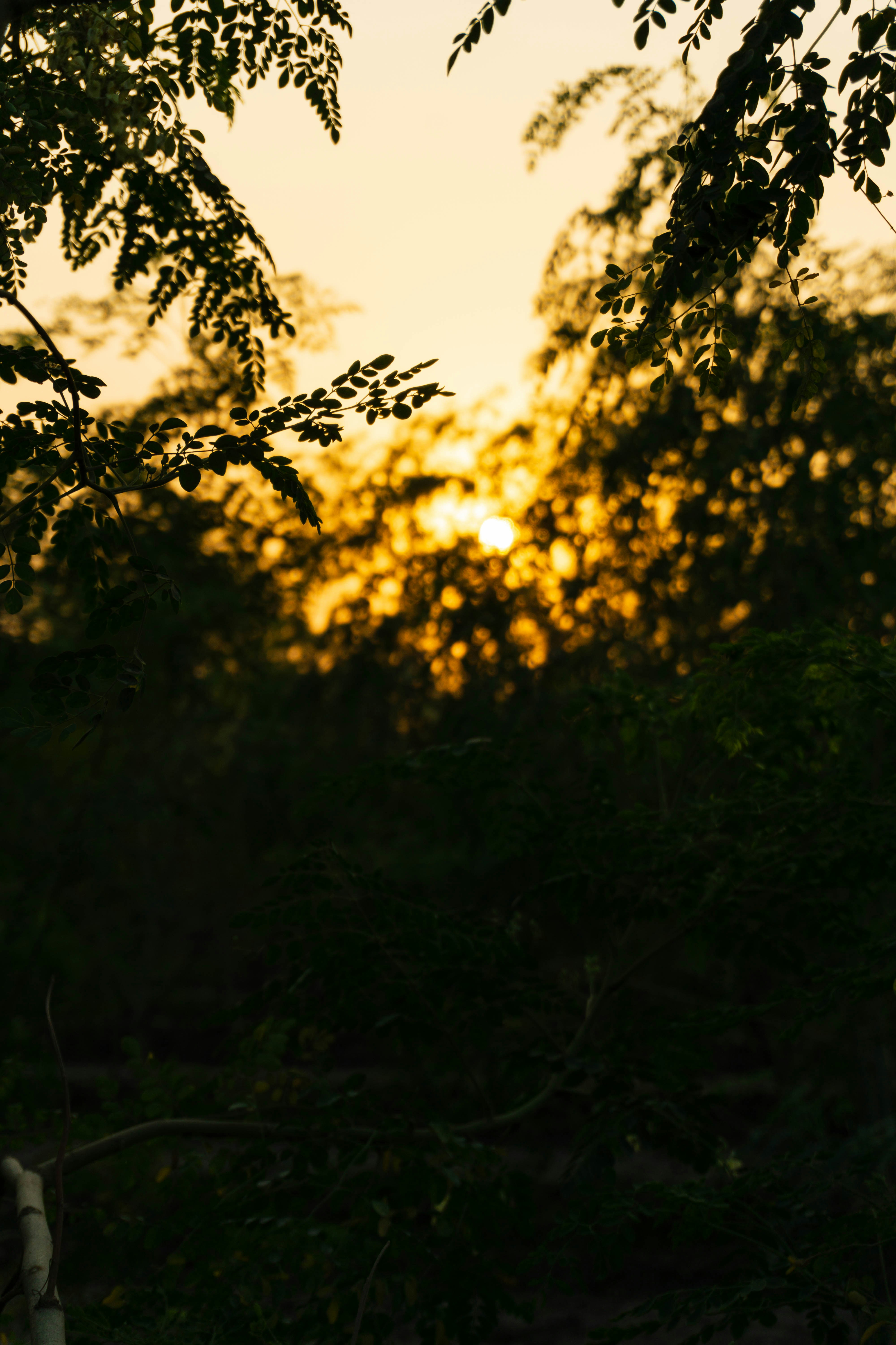 Photo by nimeshmakwanafilms