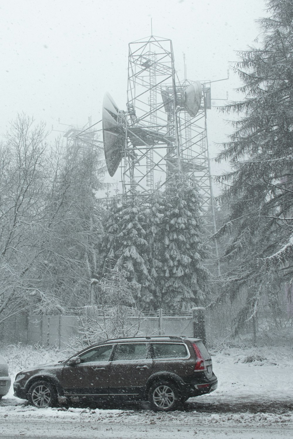 voiture rouge sur la route près d’arbres couverts de neige pendant la journée