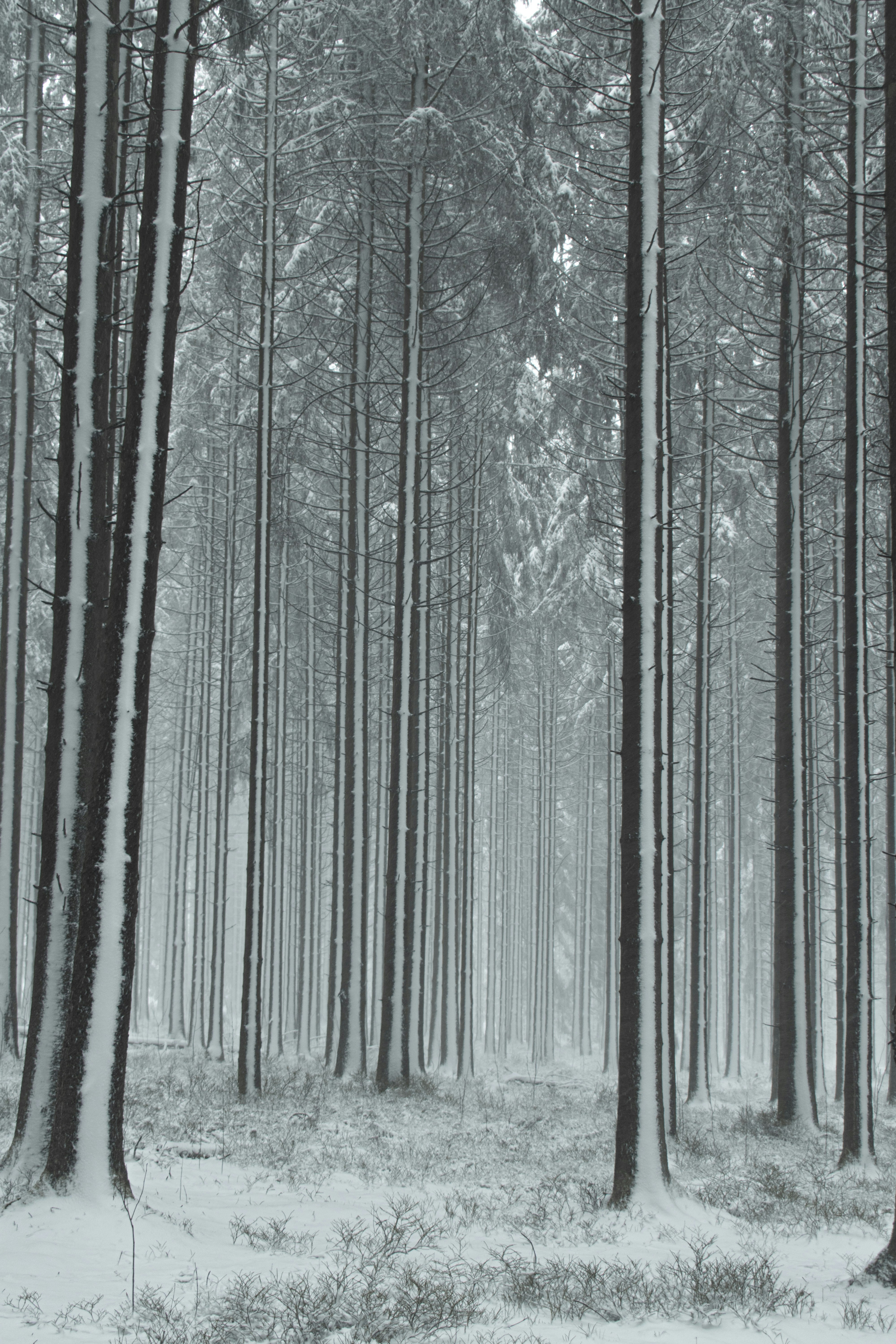 Photo by ricovandevoorde