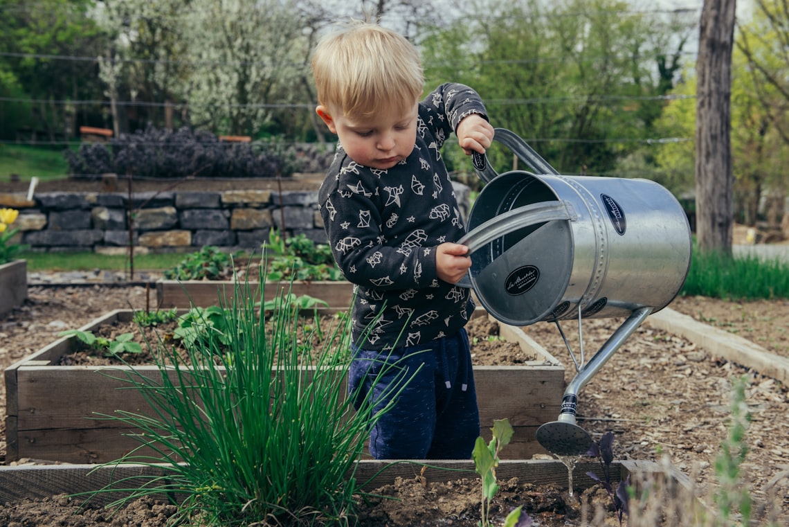 The joys of gardening