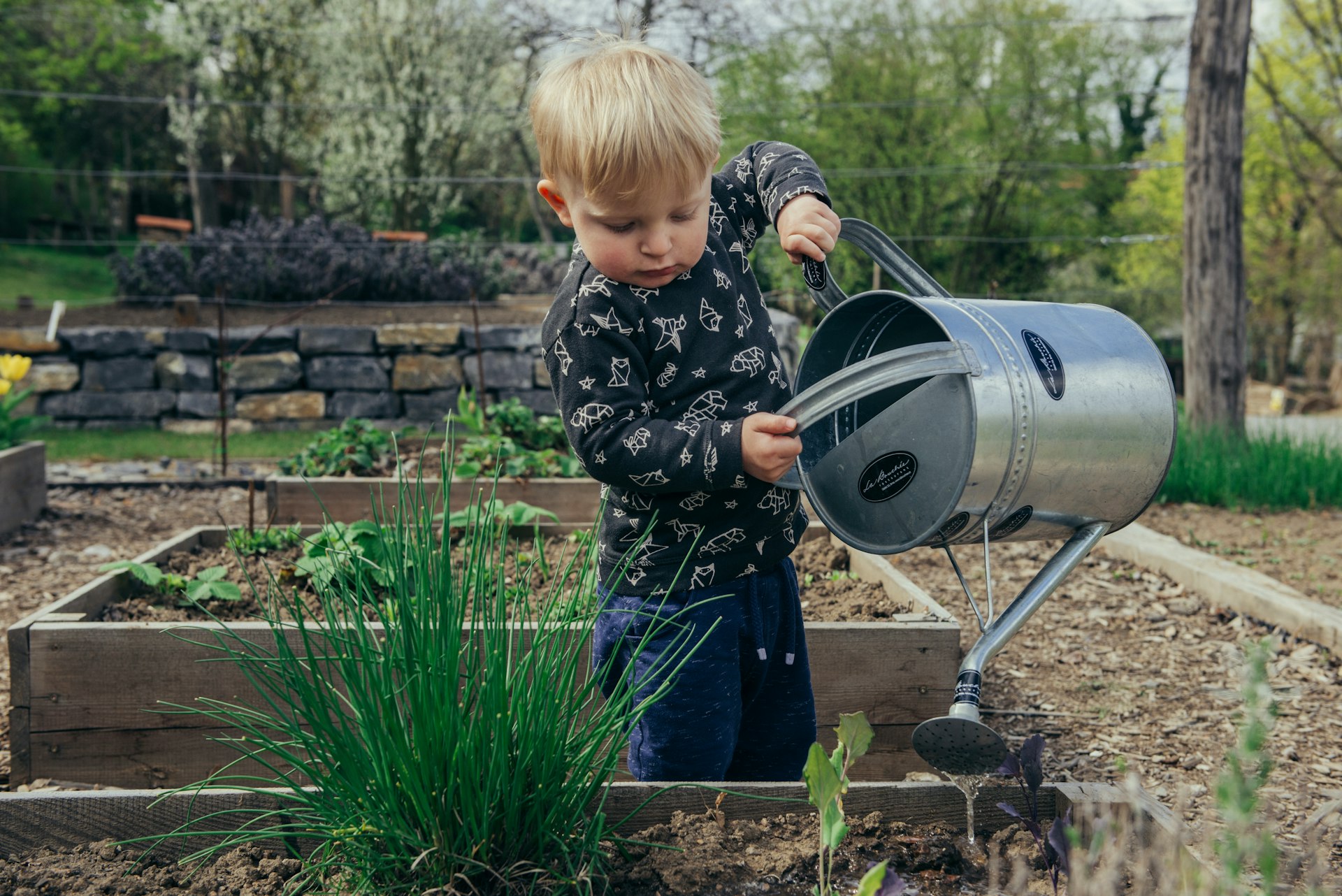 The joys of gardening