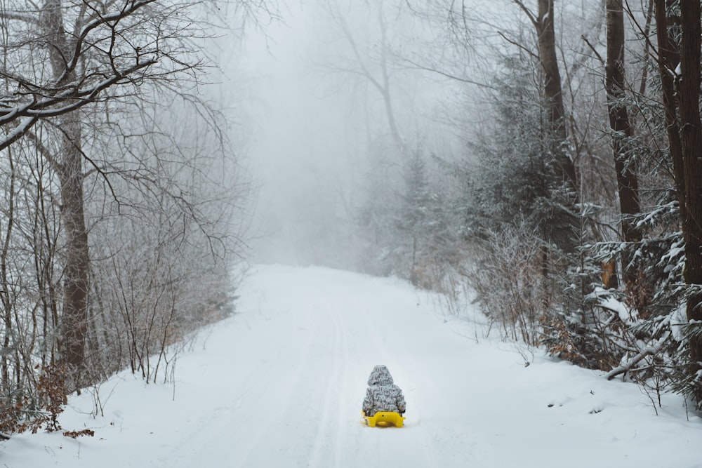 person in yellow jacket and black pants riding snow sled on snow covered ground