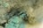 A close-up view of mold growth featuring a variety of textures and colors, with patches of green and black spores intertwined within fuzzy, fibrous structures. The surface appears moist and densely populated with mold colonies.