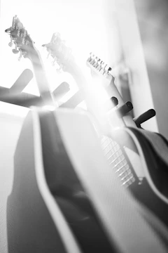Close-up portraits of band members with instruments in natural light.