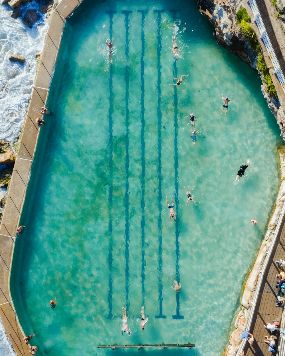 people swimming in pool during daytime