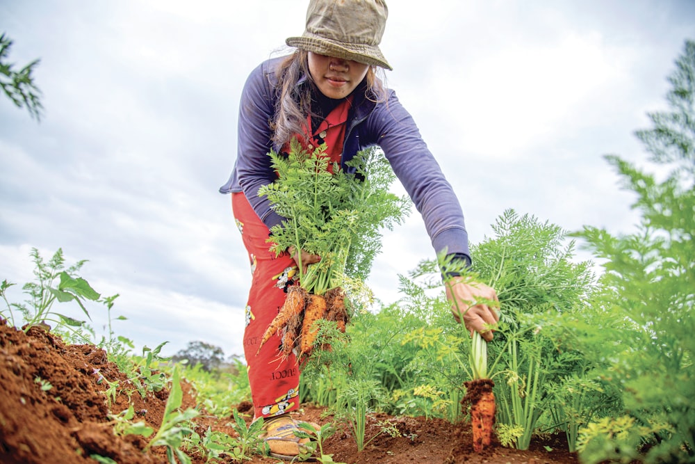 昼間、緑の植物を手にした青と灰色のジャケットを着た女性