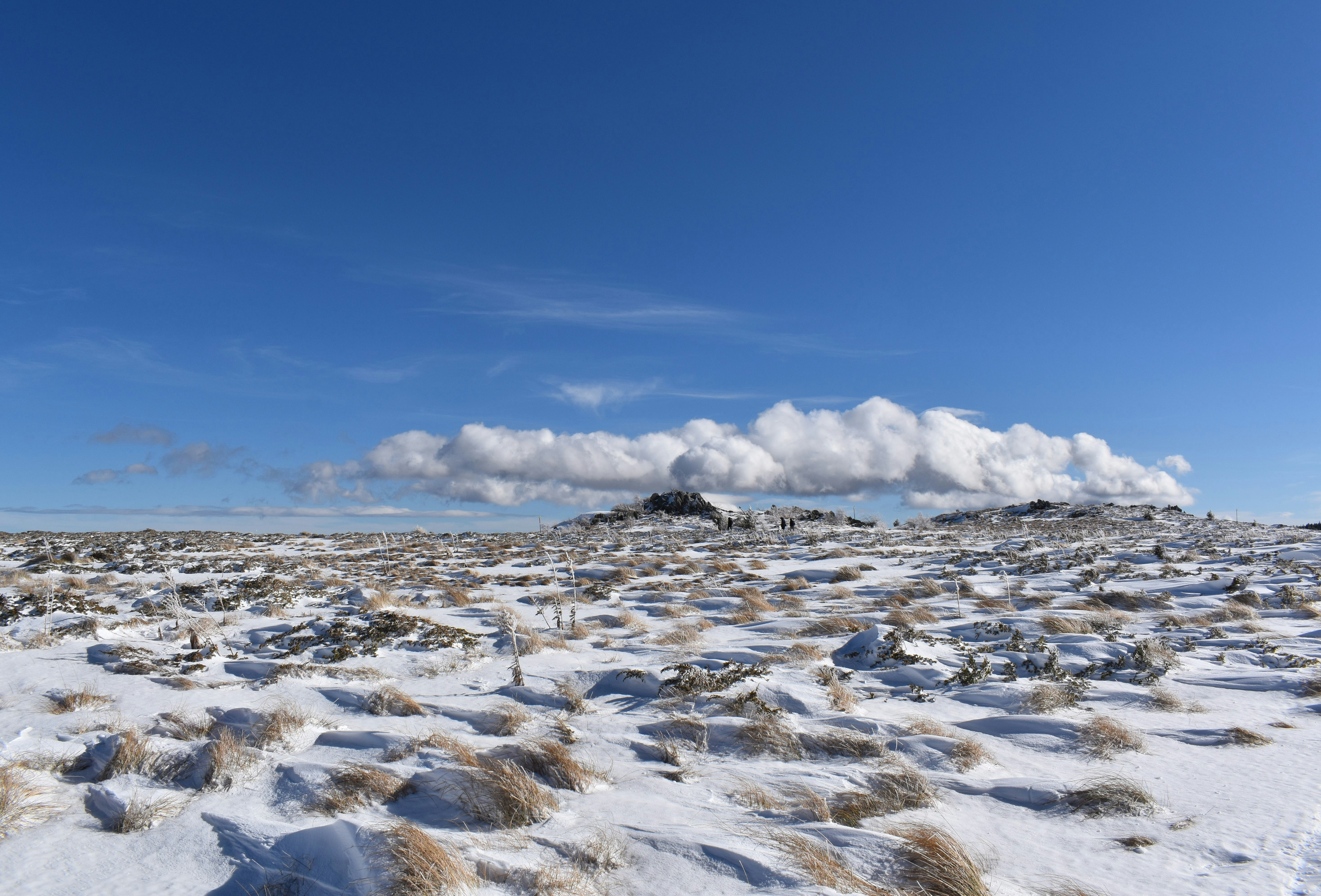 Photo by milenadoycheva