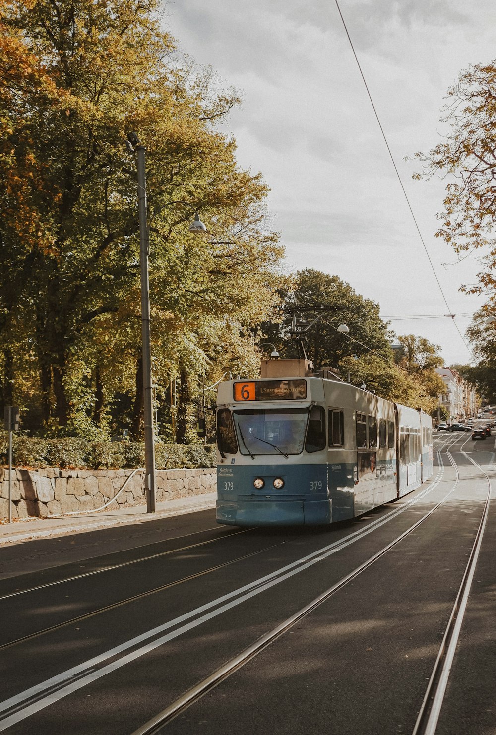 Train vert et jaune sur la voie ferrée pendant la journée