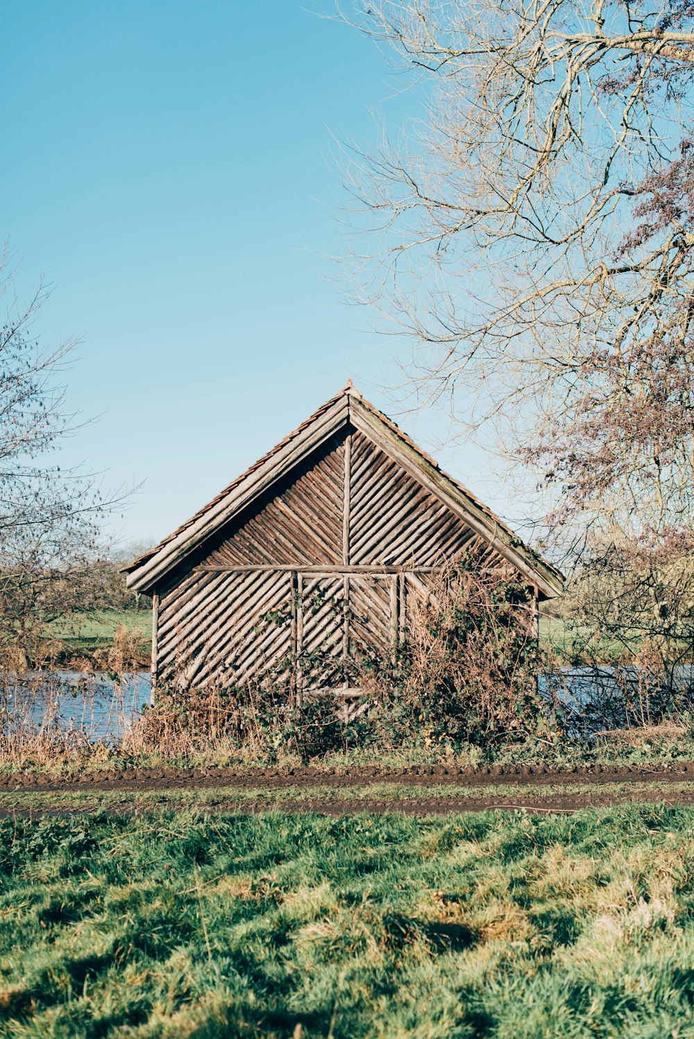 brown wooden house near bare trees under blue sky during daytime