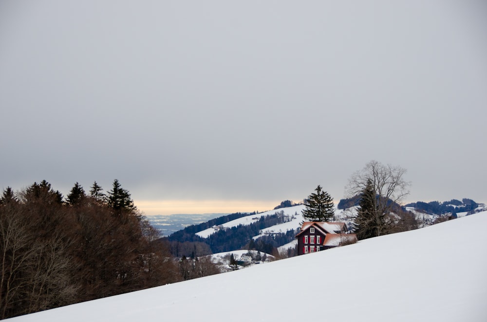 red and white house on snow covered ground