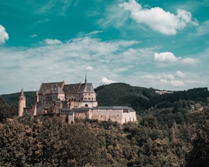 A sprawling medieval castle built with stone and wood, surrounded by lush forests.