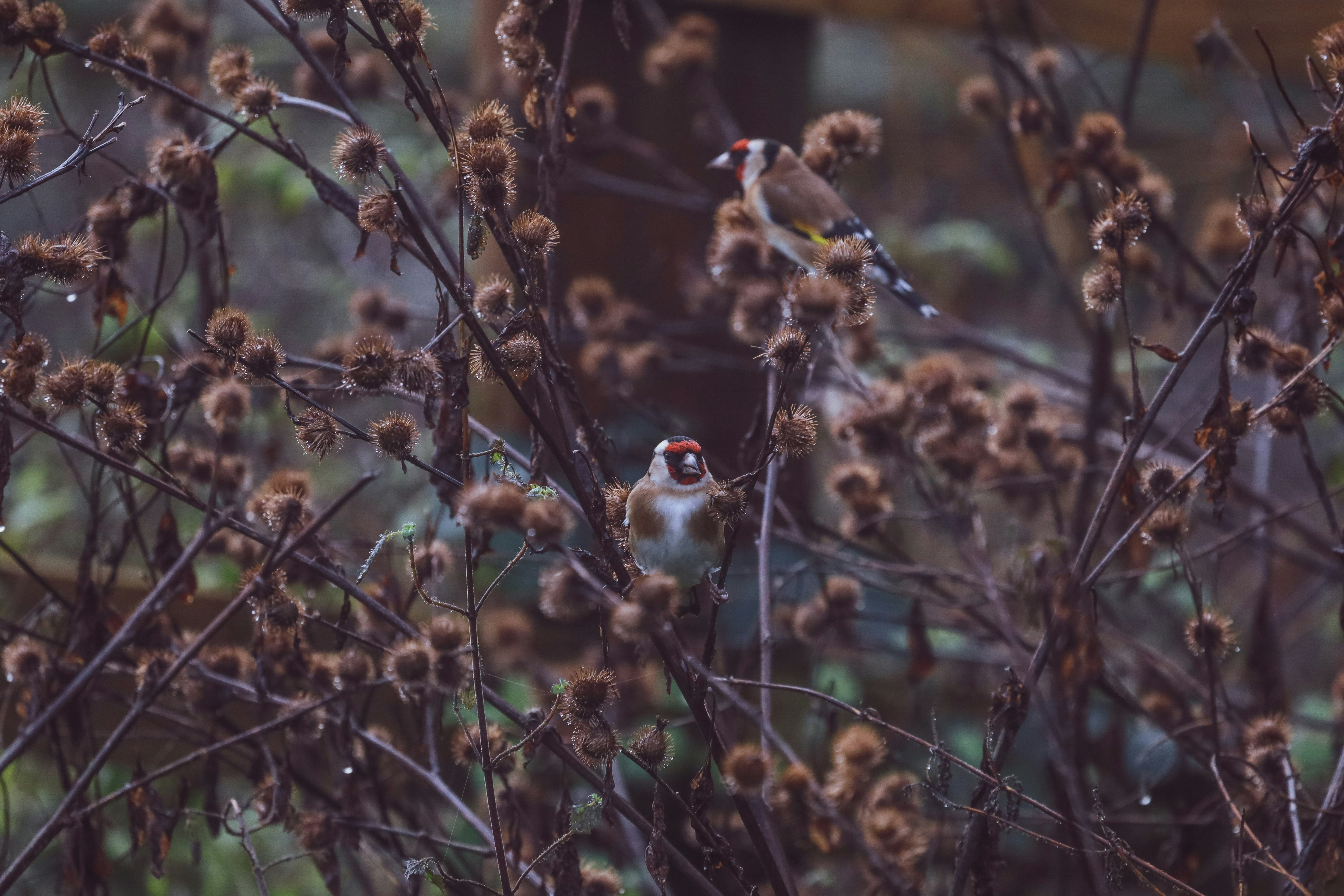 Photo by grievek1610begur