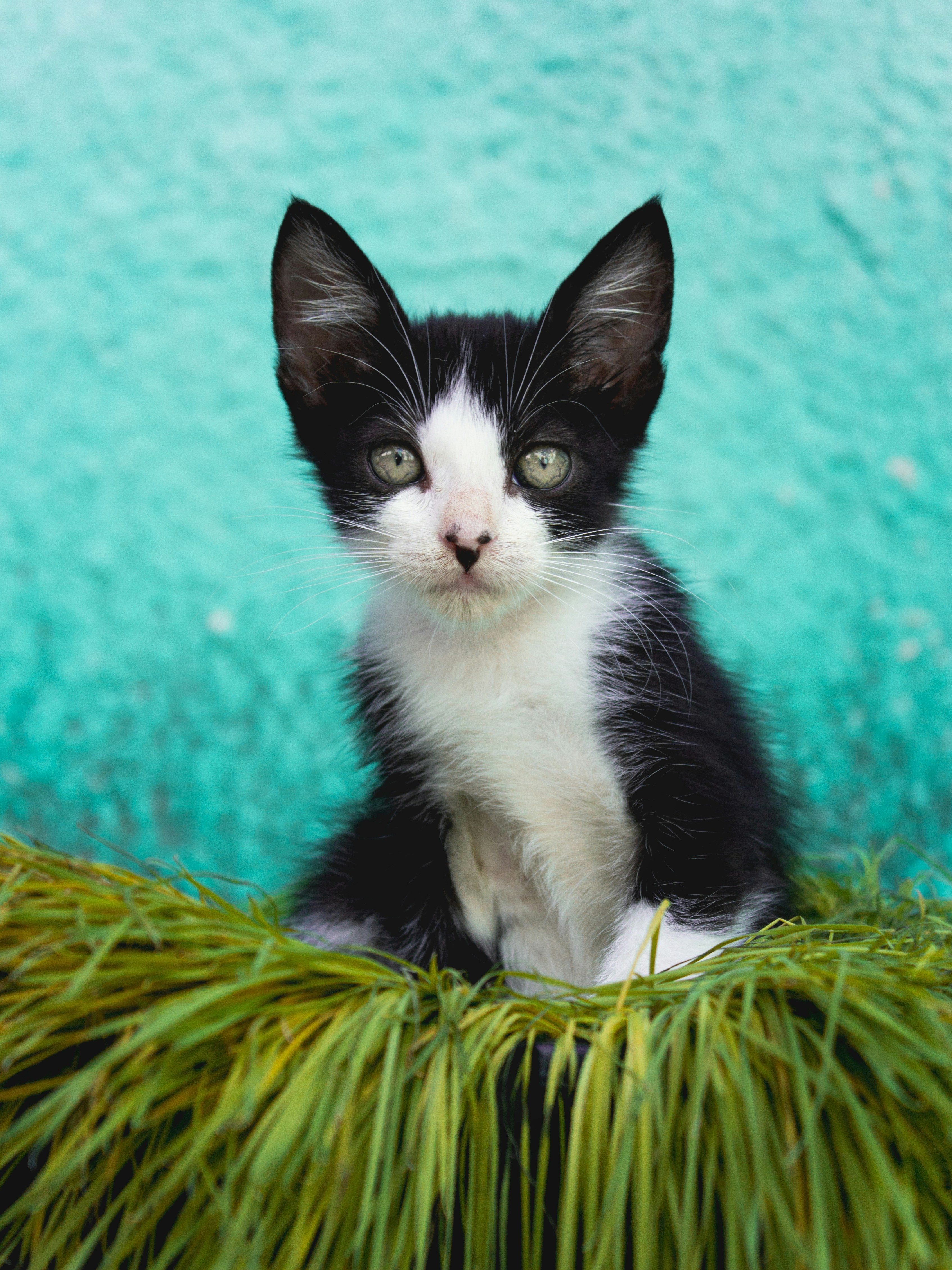 Photo by mccarthybeckan