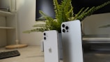 Two modern smartphones with sleek designs are standing upright on a desk. A small potted green fern is positioned behind them, adding a natural element to the setup. In the background, a computer monitor and keyboard can be seen on the desk, creating a workspace environment.