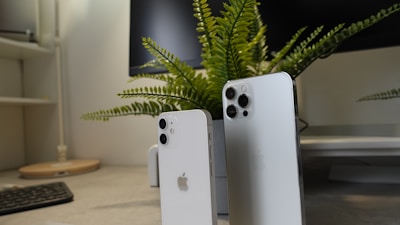 Two modern smartphones with sleek designs are standing upright on a desk. A small potted green fern is positioned behind them, adding a natural element to the setup. In the background, a computer monitor and keyboard can be seen on the desk, creating a workspace environment.