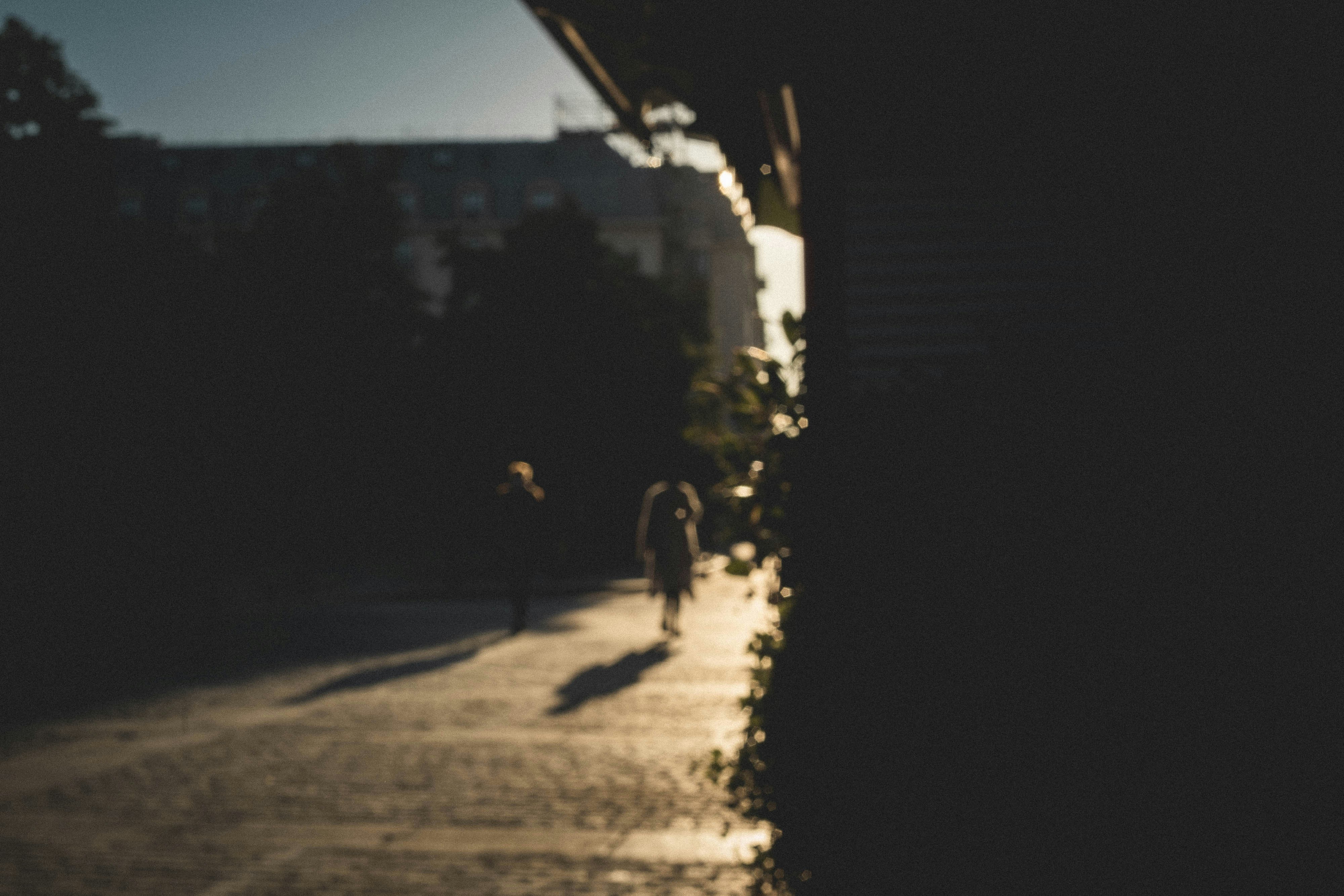 Photo by sirisvisual