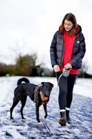 A busy mom wearing sleek leggings and a cozy hoodie, walking her dog in the park.