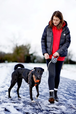 A busy mom wearing sleek leggings and a cozy hoodie, walking her dog in the park.