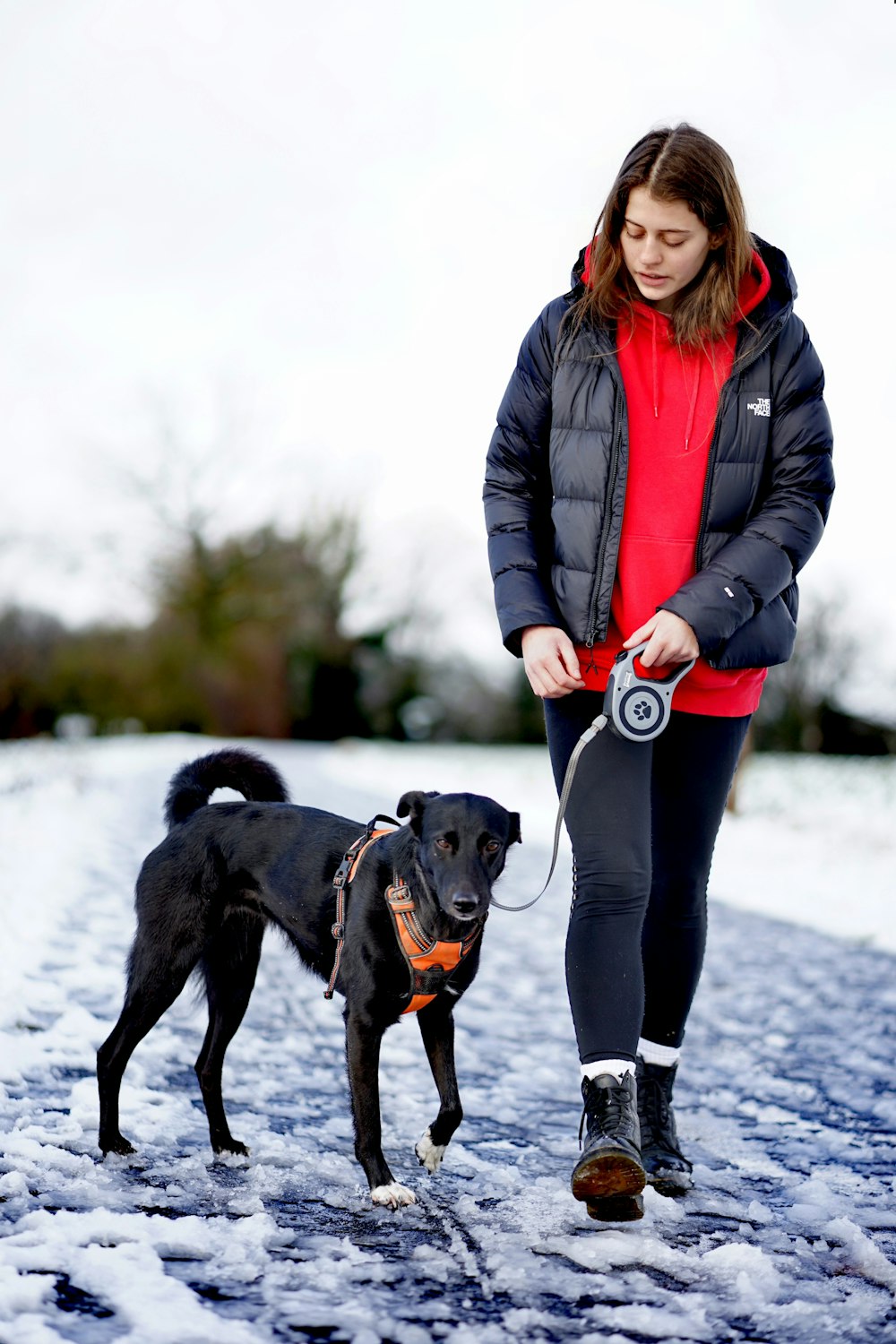 woman in black leather jacket holding black short coat dog during daytime