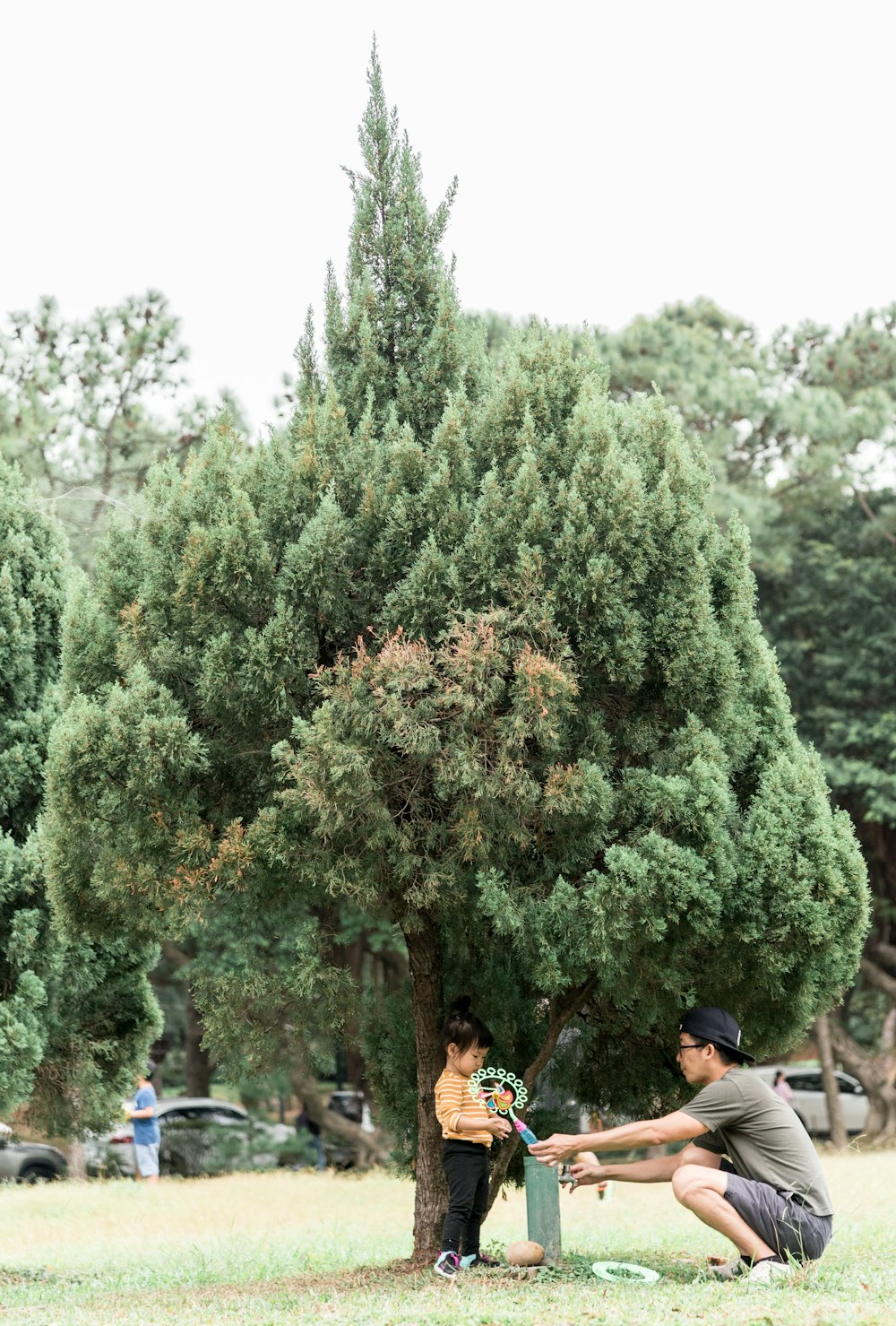 people walking on pathway near green trees during daytime