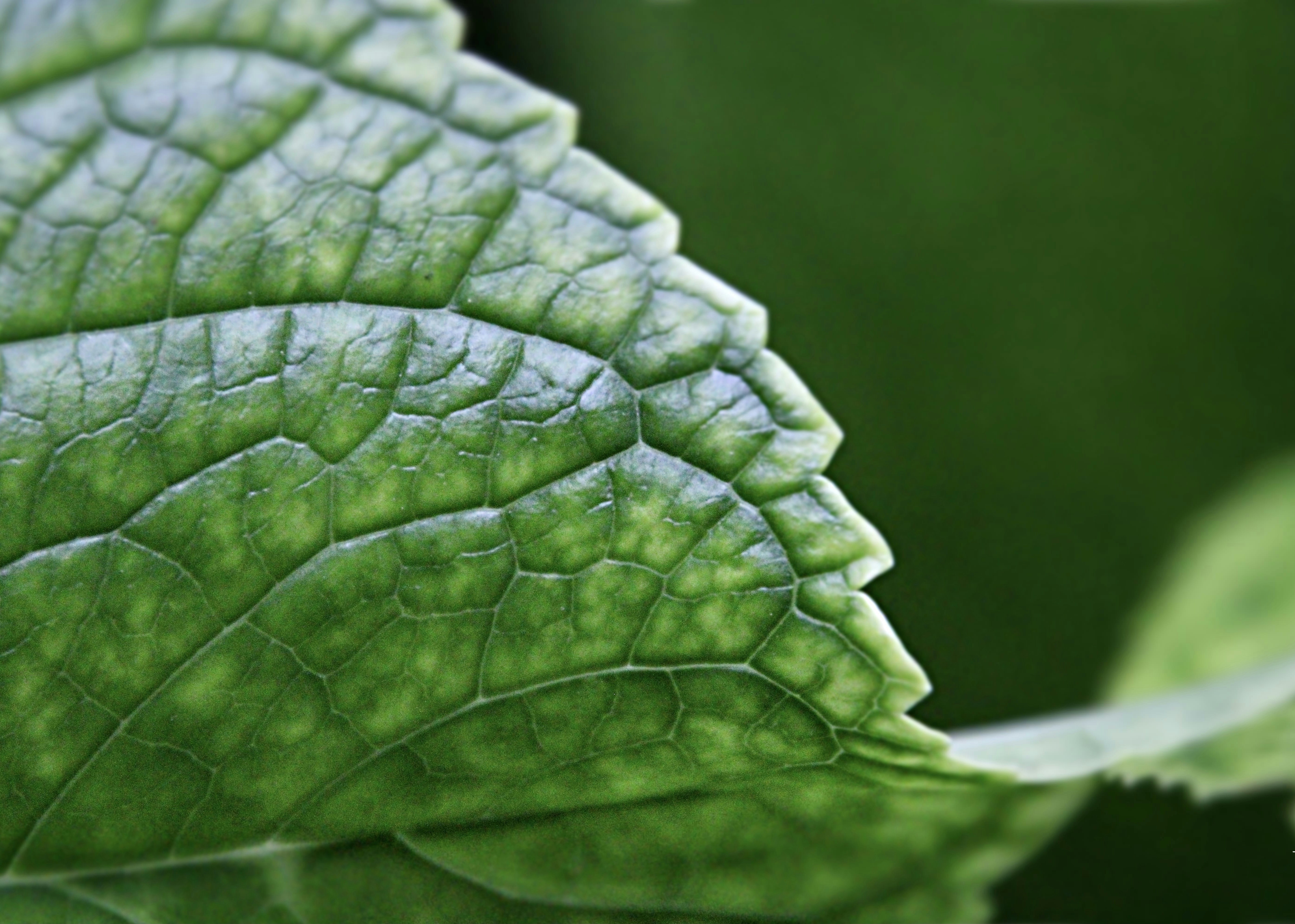 Photo by miguelalcantara