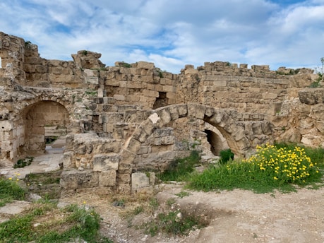 Ancient ruins constructed from large stone blocks feature a series of arches and partially standing walls. The architecture appears weathered but remains intricate, suggesting historical significance. The environment is enhanced by lush green grass and vibrant yellow wildflowers on the ground, with a partly cloudy sky overhead.