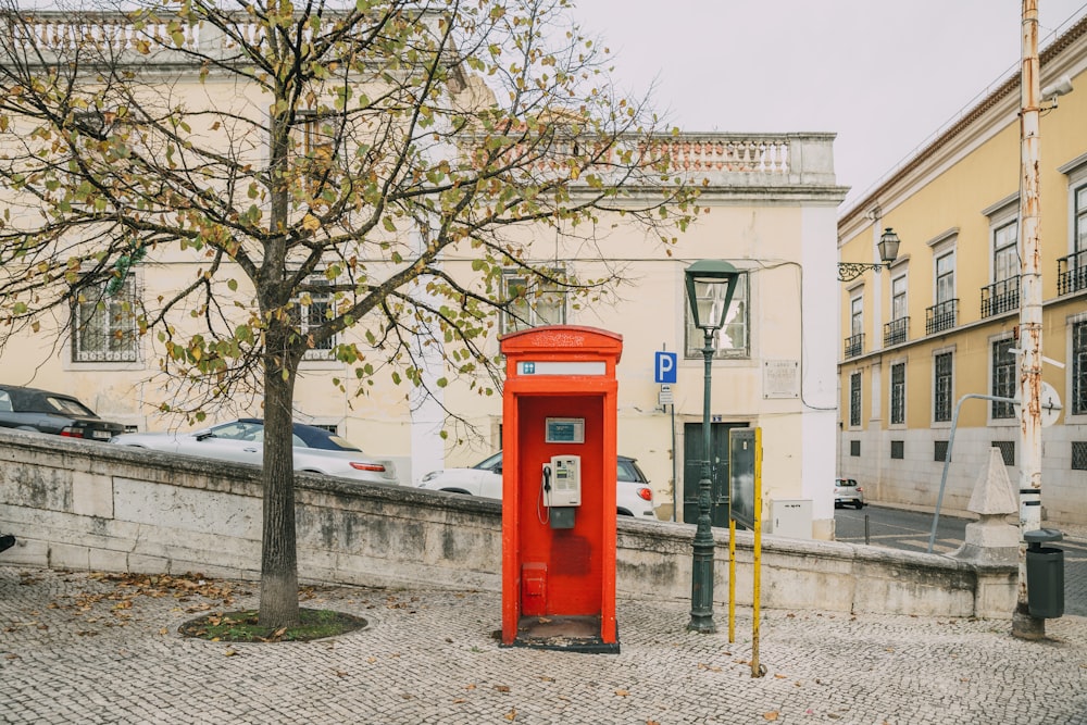 red telephone booth near green tree during daytime