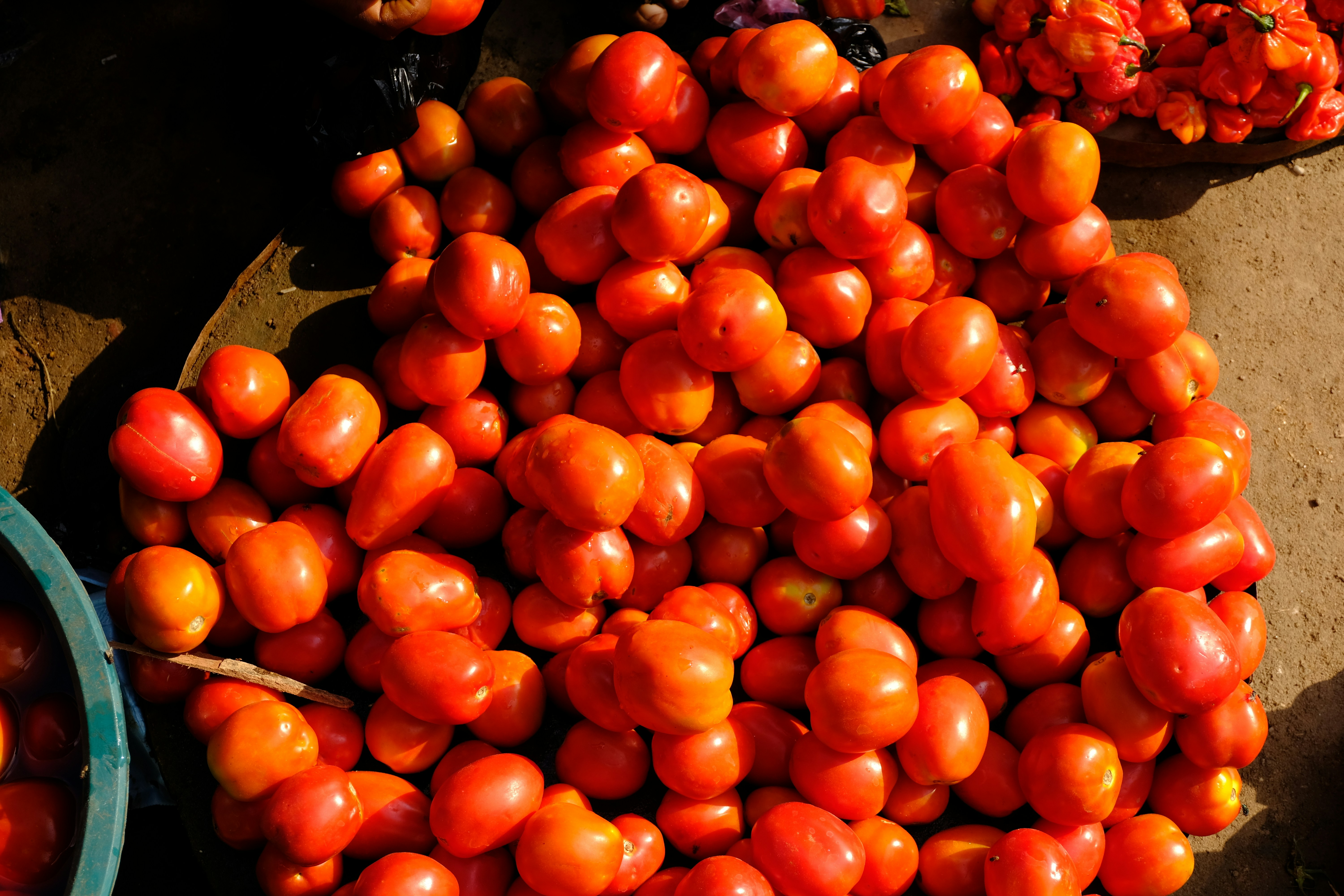 Open market tomatoes