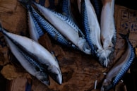 Several fresh fish, likely mackerel, are arranged on a rough, brown cardboard surface. The fish display a shiny, bluish-grey coloration with distinctive patterns running along their bodies.