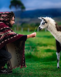 man in red and black plaid shirt holding brown llama during daytime