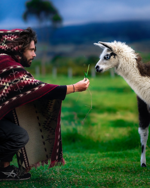 man in red and black plaid shirt holding brown llama during daytime