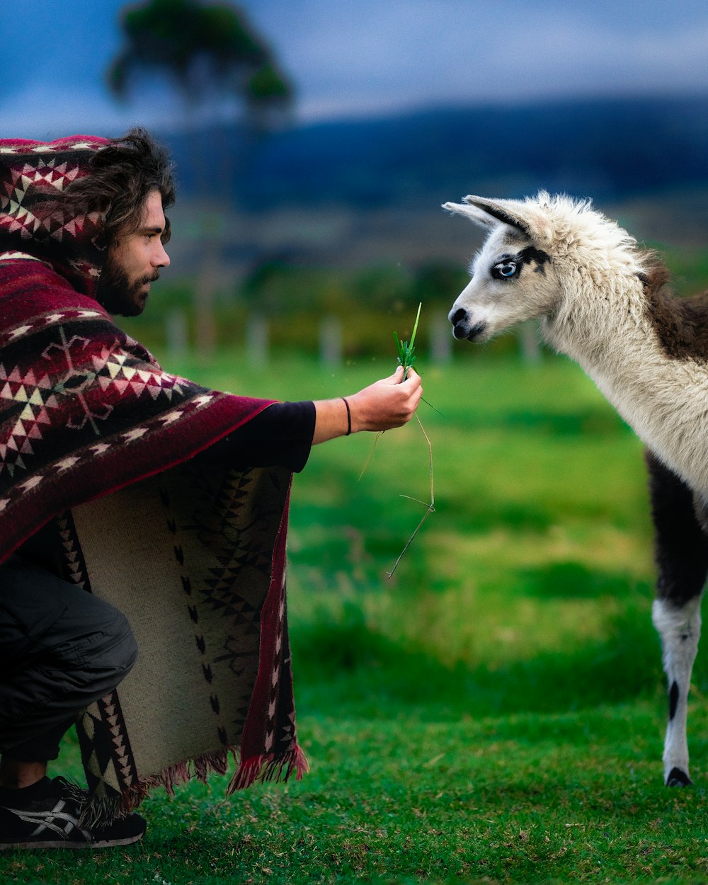 man in red and black plaid shirt holding brown llama during daytime