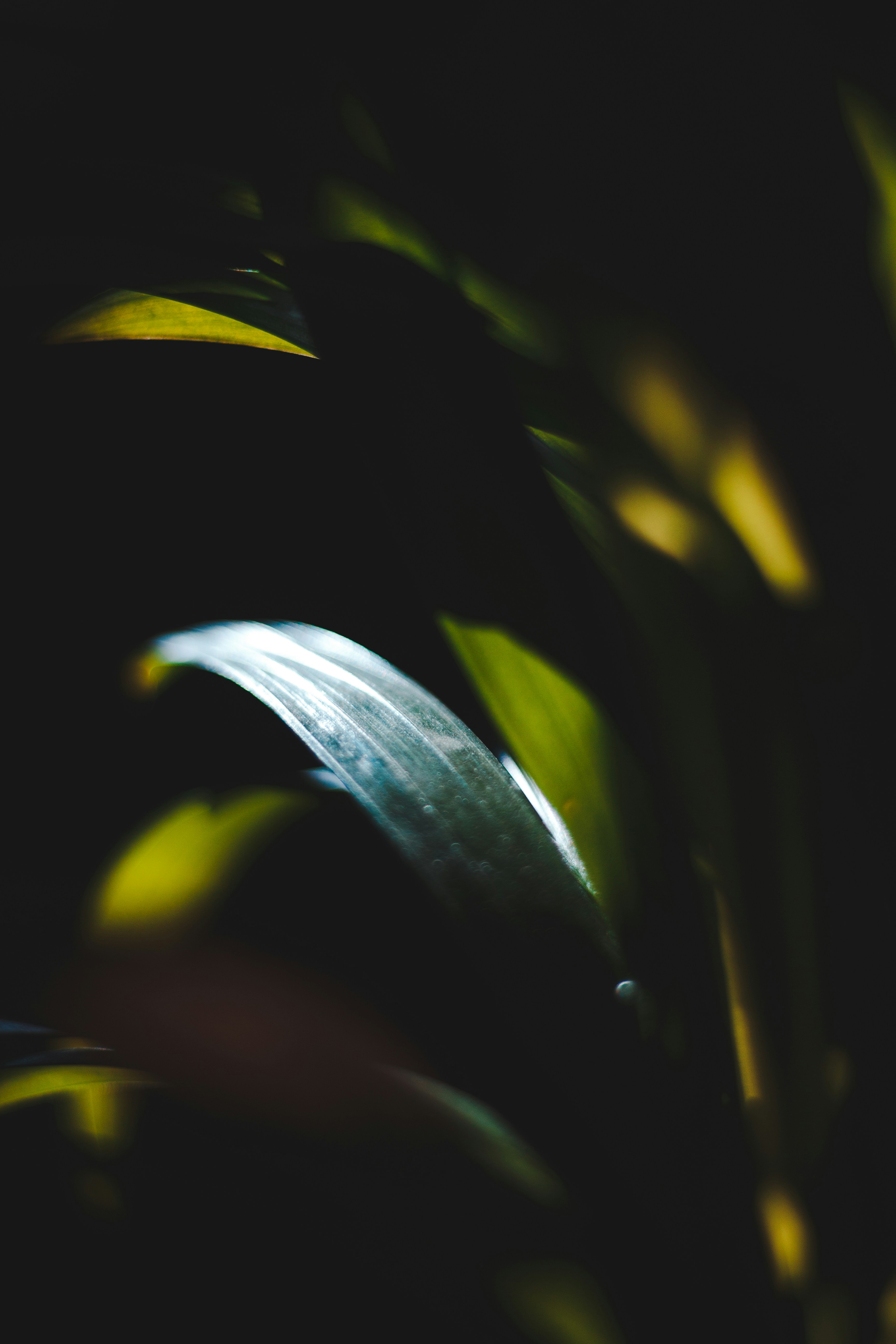 Photo by lucky_13_photos