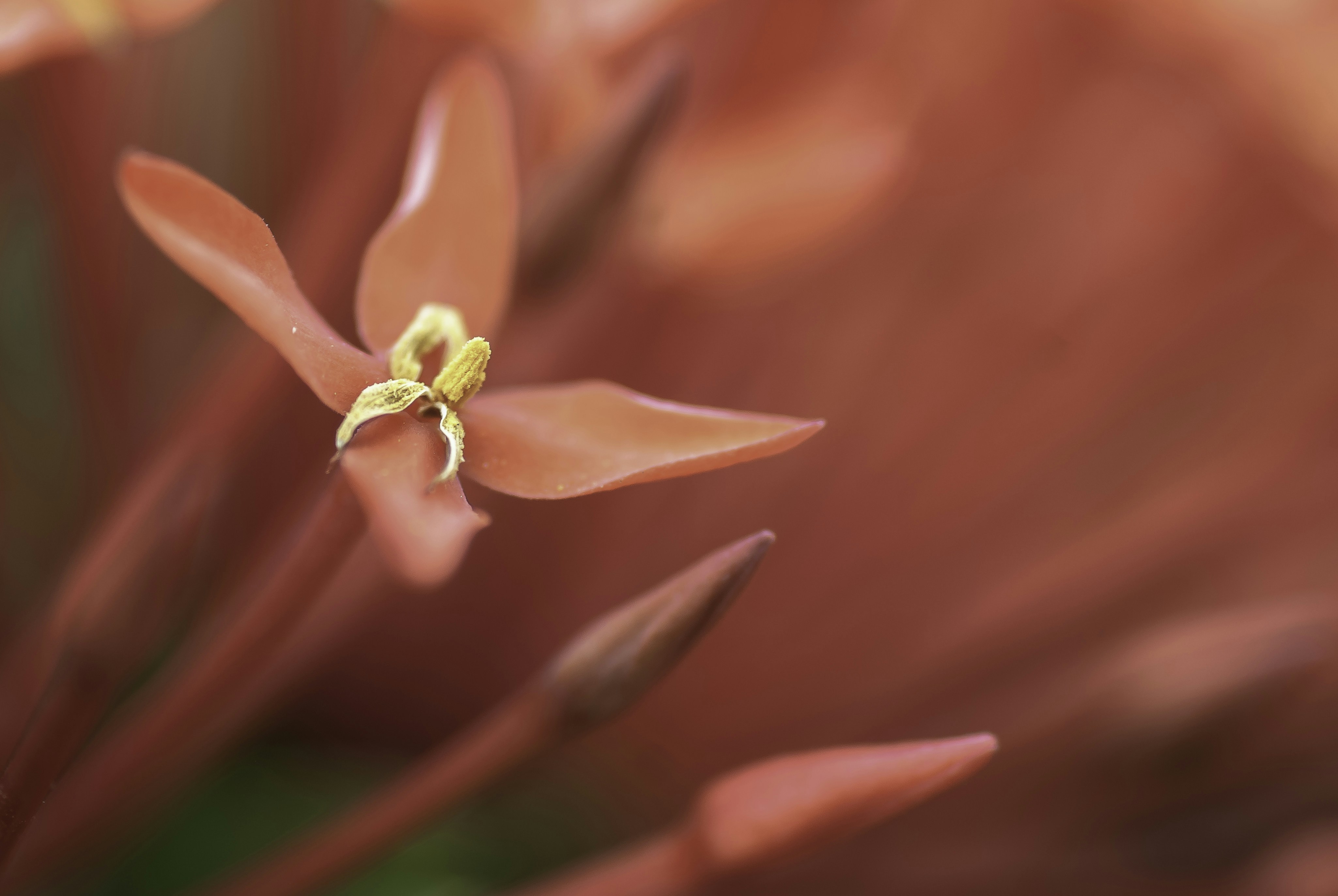 Photo by thom_oxford