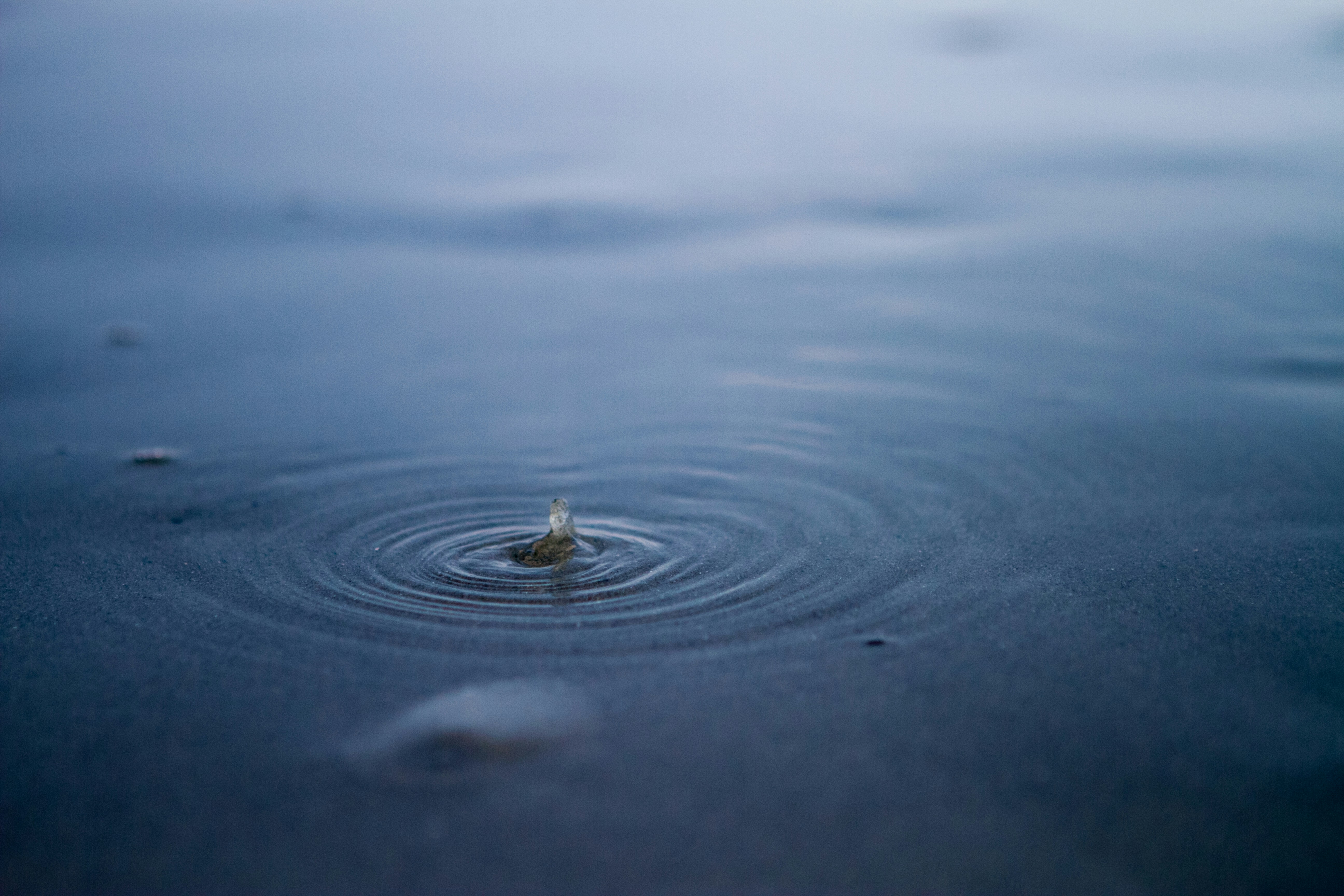 Photo by joetography