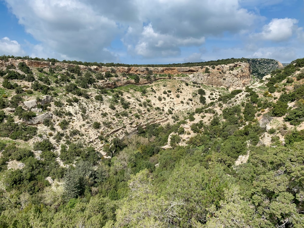 green trees on hill under blue sky during daytime