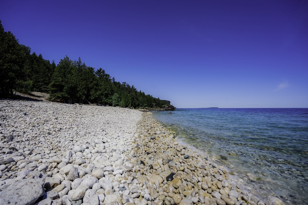 a rocky beach with clear blue water and trees