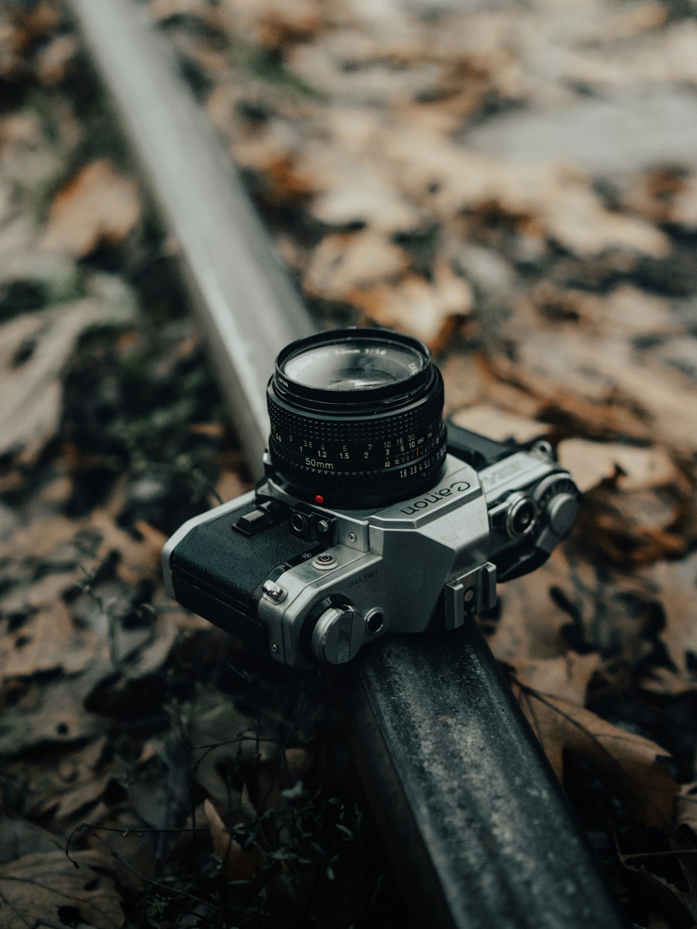 black and gray camera on brown dried leaves