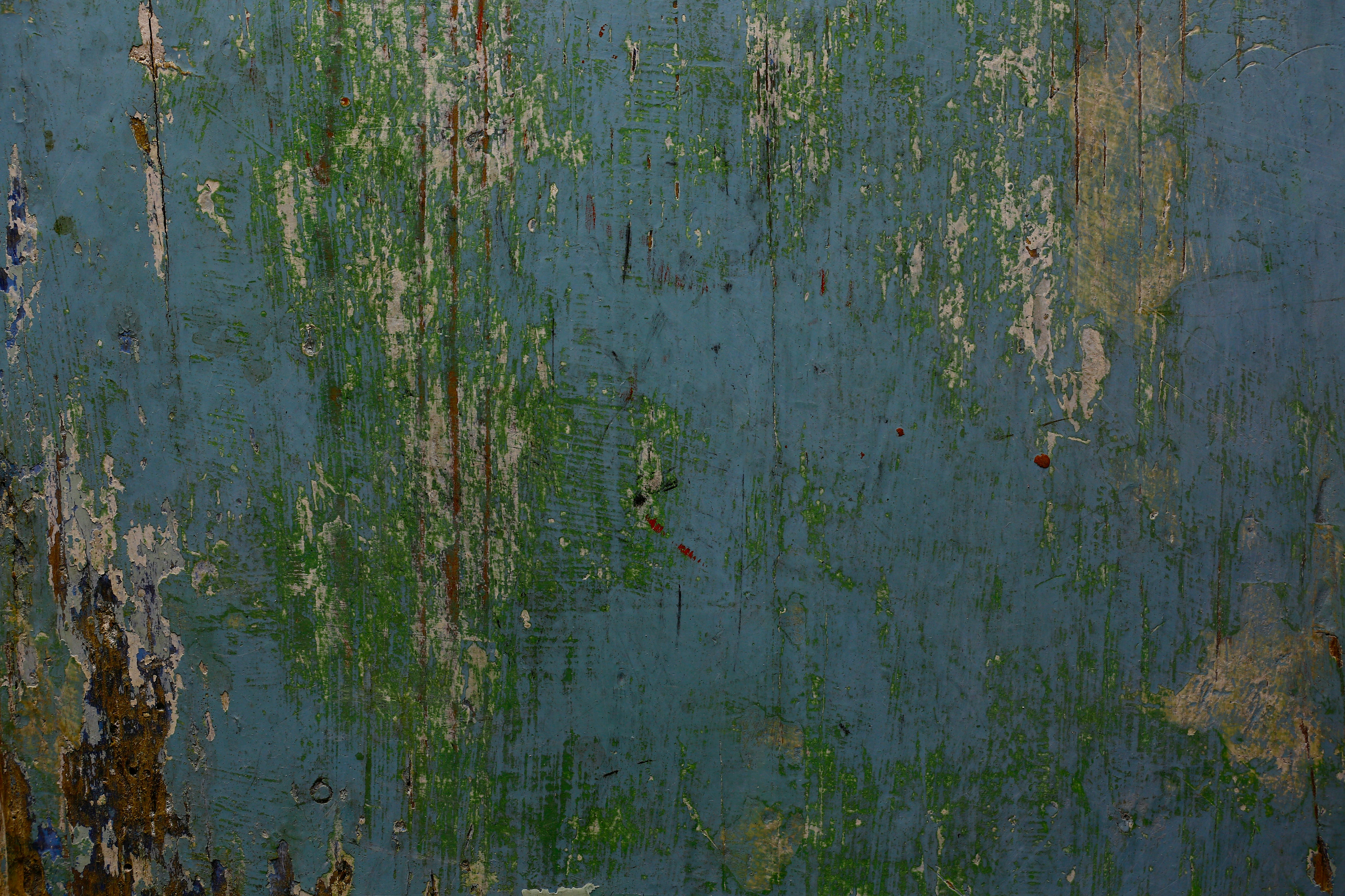 Photo by wilhelmgunkel