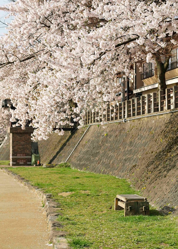 What to See in Takayama: A Concise Travel Guide