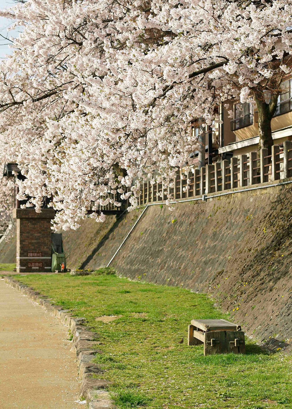 white and brown concrete building near green grass field during daytime